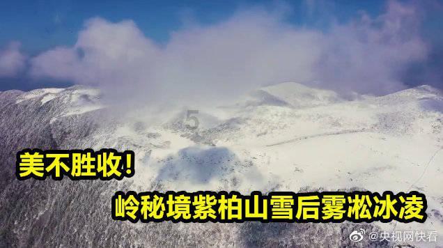 发现冷知识!-中国最火爆温州市货运资格证报名地址分享平台